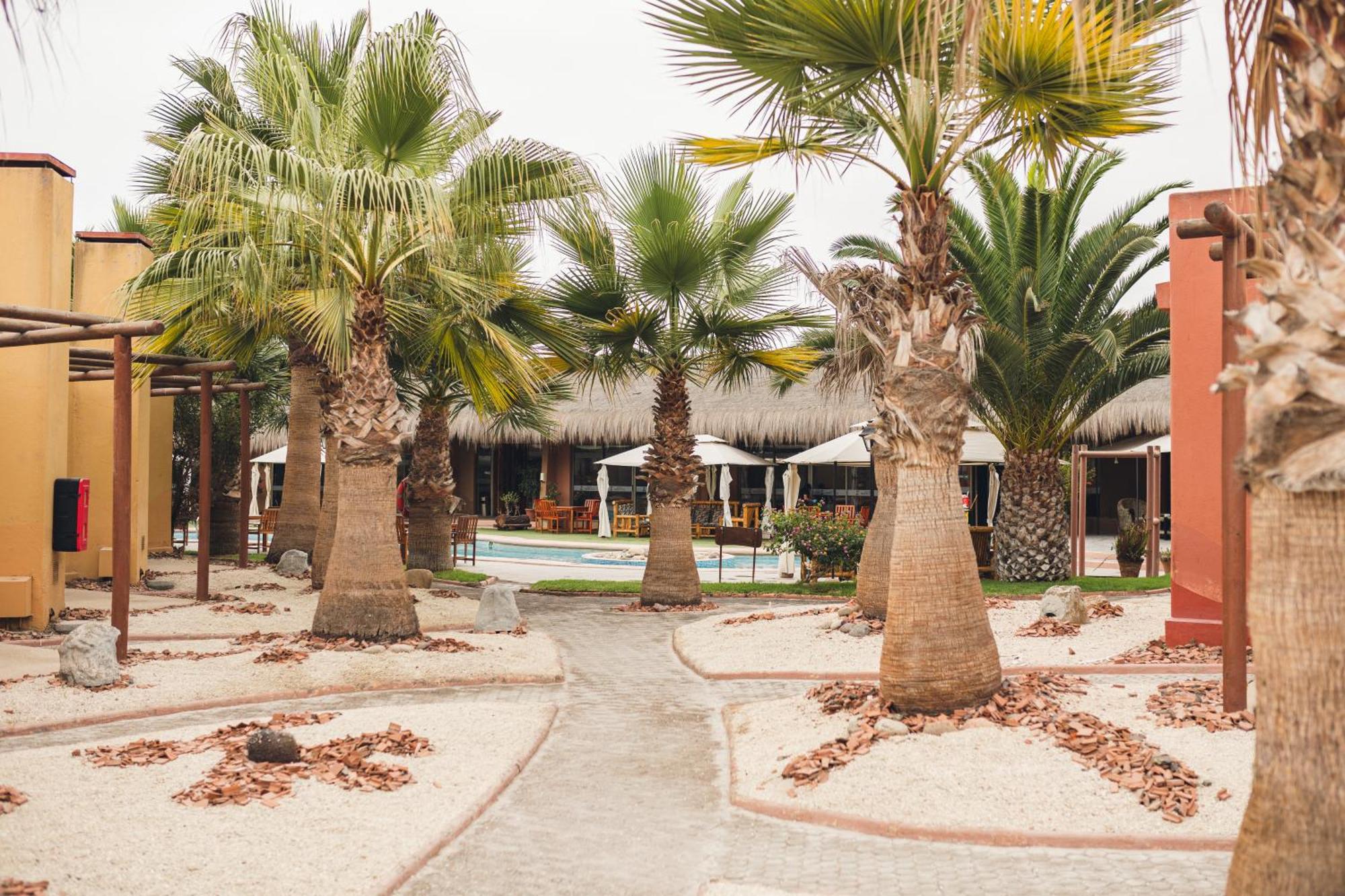 Hotel Serena Suite La Serena Exterior photo